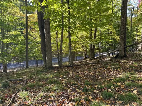 115 Doe Path Pl, Gaylord, MI 49735