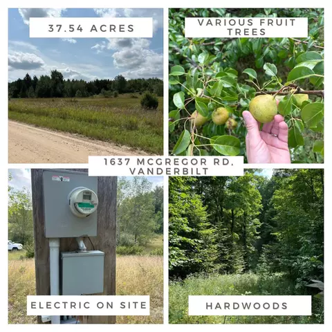 1637 Mcgregor Road Vanderbilt Mi 49795 Rd, Vanderbilt, MI 49795
