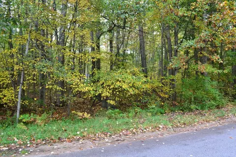 689 White Birch Dr, Houghton Lake, MI 48629
