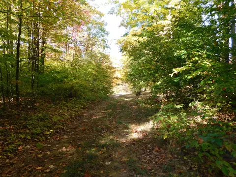 Ken Pen Drive, Frederic, MI 49733 photo 5