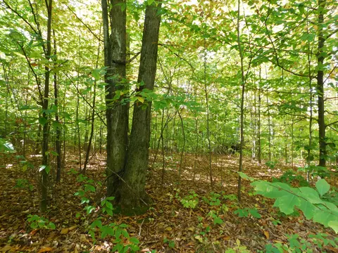 Ken Pen Drive, Frederic, MI 49733 photo 9