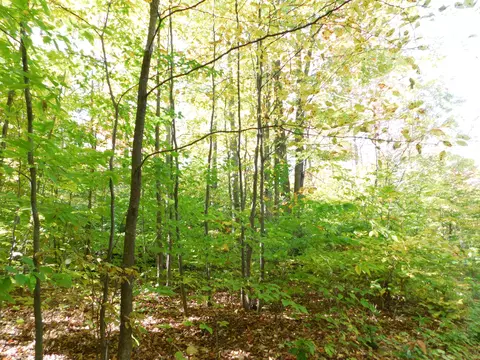 Ken Pen Drive, Frederic, MI 49733 photo 10