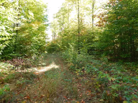 Ken Pen Drive, Frederic, MI 49733 photo 4