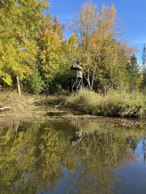 Off Cramer Road, Alpena, MI 49707 photo 3