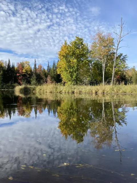 Off Cramer Road, Alpena, MI 49707 photo 8