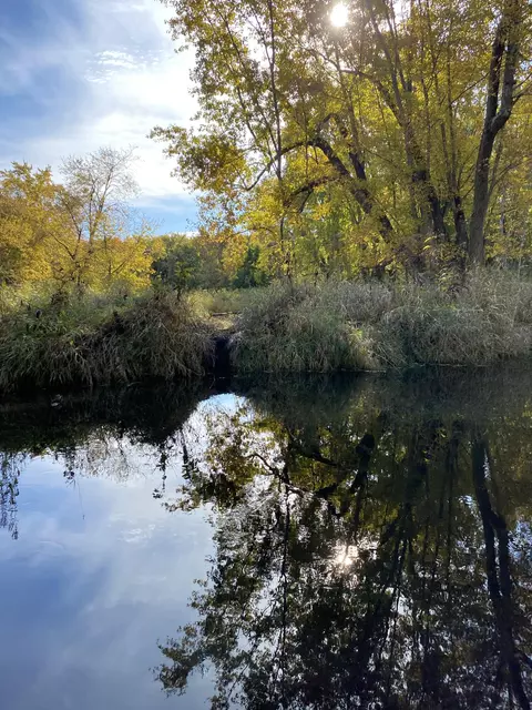 Off Cramer Road, Alpena, MI 49707 photo 6
