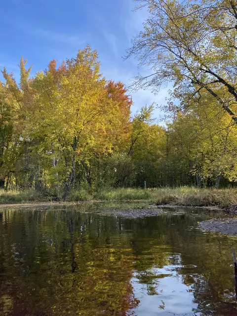 Off Cramer Road, Alpena, MI 49707 photo 4