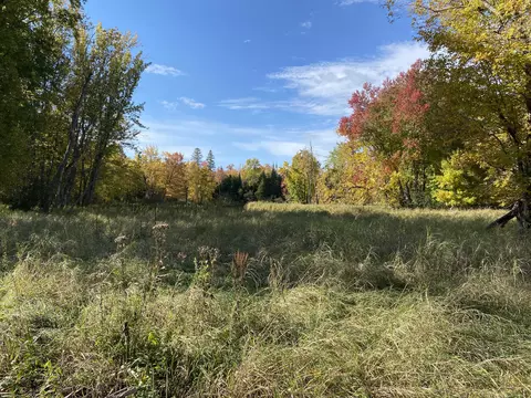 Off Cramer Road, Alpena, MI 49707 photo 7