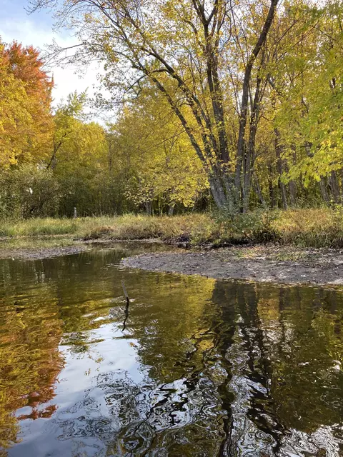Off Cramer Road, Alpena, MI 49707