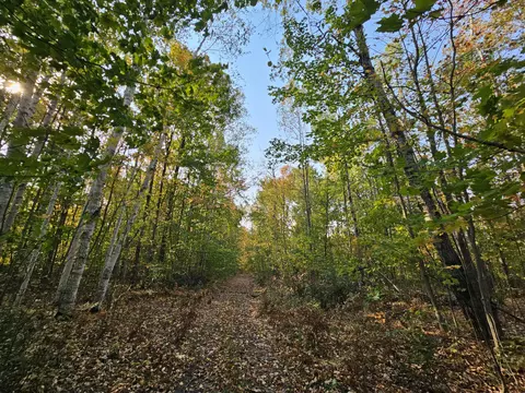 Off Walker Road, Afton, MI 49705 photo 7