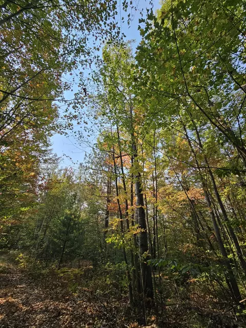 Off Walker Road, Afton, MI 49705 photo 11