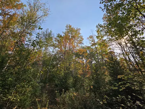 Off Walker Road, Afton, MI 49705 photo 5