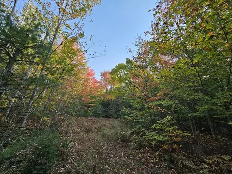 Off Walker Road, Afton, MI 49705 photo 6