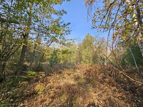 Off Walker Road, Afton, MI 49705 photo 9