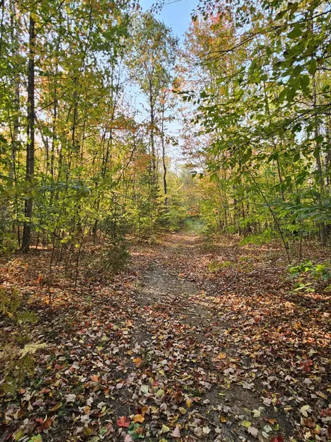 Off Walker Road, Afton, MI 49705 photo 10