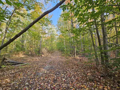 Off Walker Road, Afton, MI 49705 photo 8