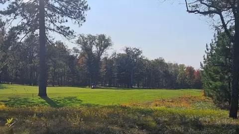 50 Fox Glove Ct, Roscommon, MI 48653