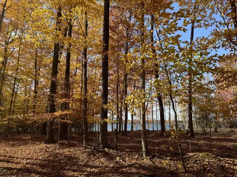 lot76 W Birch Shores Drive Trout Lake Mi 49793 Dr, Trout Lake, MI 49793