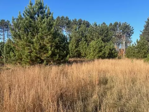 Sherman Road, Frederic, MI 49733 photo 3