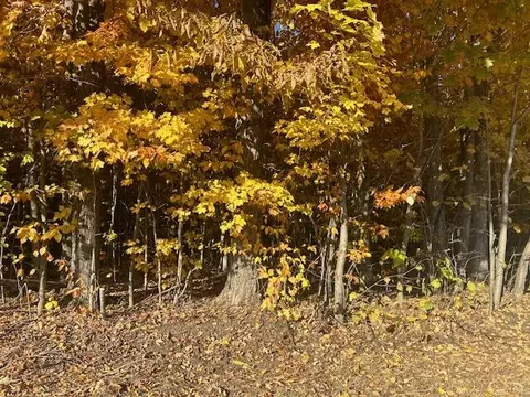 Sherman Road, Frederic, MI 49733 photo 7