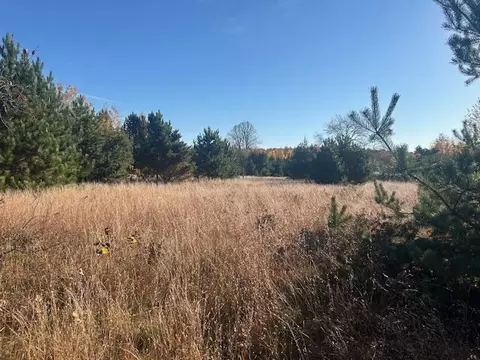 Sherman Road, Frederic, MI 49733 photo 5