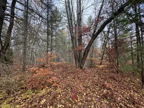 lot8 N 9 N Partridge Drive Frederic Mi 49733 Dr, Frederic, MI 49733 photo 4