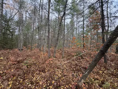 lot8 N 9 N Partridge Drive Frederic Mi 49733 Dr, Frederic, MI 49733