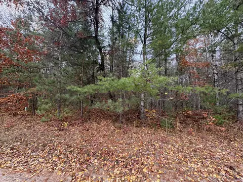 lot8 N 9 N Partridge Drive Frederic Mi 49733 Dr, Frederic, MI 49733 photo 6
