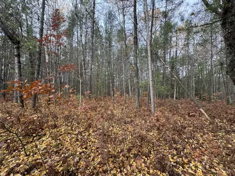 lot8 N 9 N Partridge Drive Frederic Mi 49733 Dr, Frederic, MI 49733 photo 3