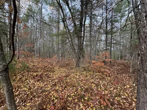 lot8 N 9 N Partridge Drive Frederic Mi 49733 Dr, Frederic, MI 49733 photo 5