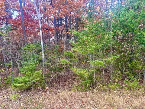 lot45 Pine St, Presque Isle, MI 49777
