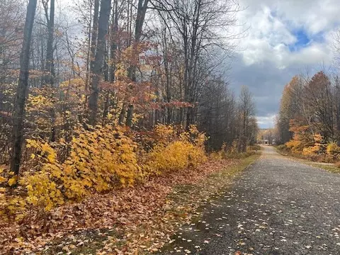 lot74 Terreton Circle Elmira Mi 49730 Cir, Elmira, MI 49730