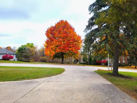 1171 Chatterton St, Gladwin, MI 48624 photo 37
