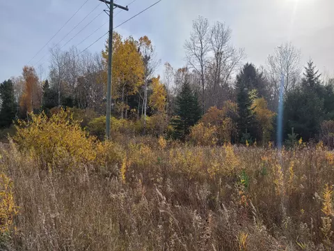 NHN Walker Highway #18 ACRES, Millersburg, MI 49759