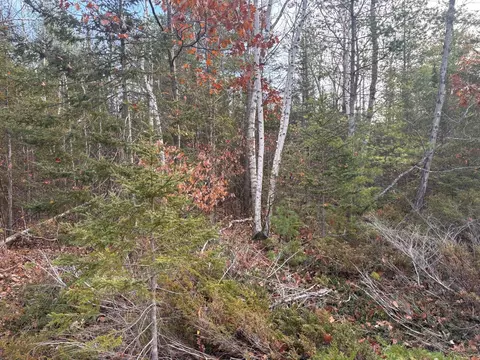 lot90 Laurelhill Circle Presque Isle Mi 49777 Cir, Presque Isle, MI 49777