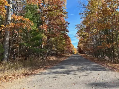 1385 Shawnee Drive Indian River Mi 49749 Dr, Indian River, MI 49749