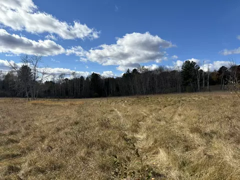 Gray Road Road, West Branch, MI 48661