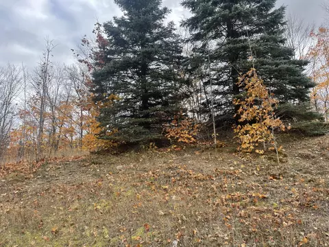 Mancelona Road, Gaylord, MI 49735