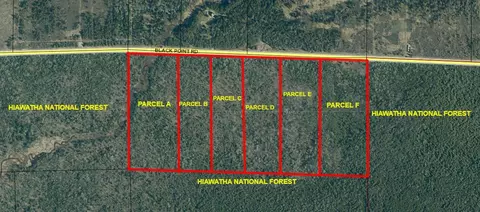 Parcel C Black Point Road #10.6 +/- ACRES, Moran, MI 49760