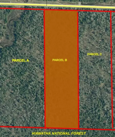 Parcel B Black Point Road #10.6 +/- ACRES, Moran, MI 49760