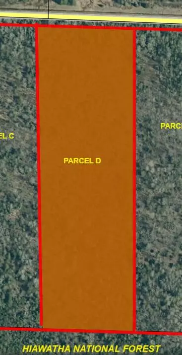 Parcel D Black Point Road #10.6 +/- ACRES, Moran, MI 49760
