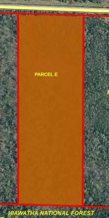 Parcel E Black Point Road #10.6 +/- ACRES, Moran, MI 49760