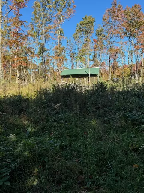 NHN Blackberry Lane #9.74 ACRES, Elmira, MI 49730