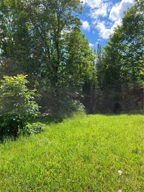 tbd Tower St, Onaway, MI 49765 photo 3