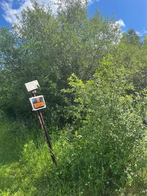 tbd Tower St, Onaway, MI 49765 photo 6