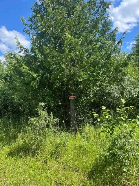 tbd Tower St, Onaway, MI 49765 photo 4