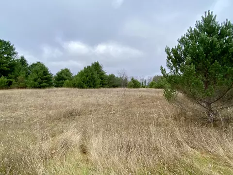 4 94 Acres Tag Alder Trl, Gaylord, MI 49735