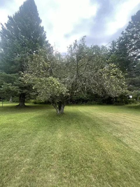 11924 Cherven Lane Roscommon Mi 48653 Ln, Roscommon, MI 48653 photo 11