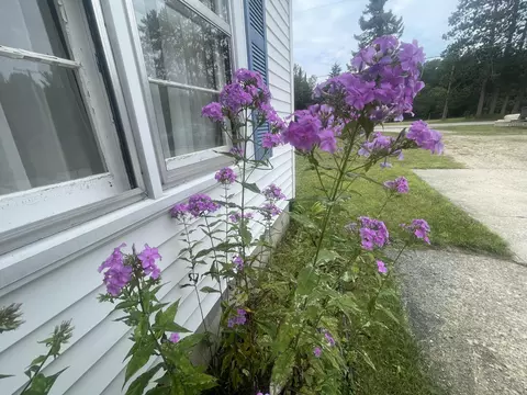 11924 Cherven Lane Roscommon Mi 48653 Ln, Roscommon, MI 48653 photo 10
