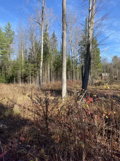 NHN Mcswain Road #2.29 ACRES, Atlanta, MI 49709